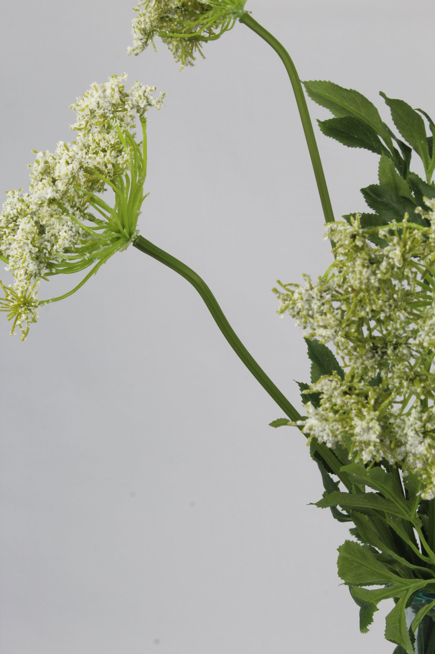 Faux White Queen Anne`s Lace Stem