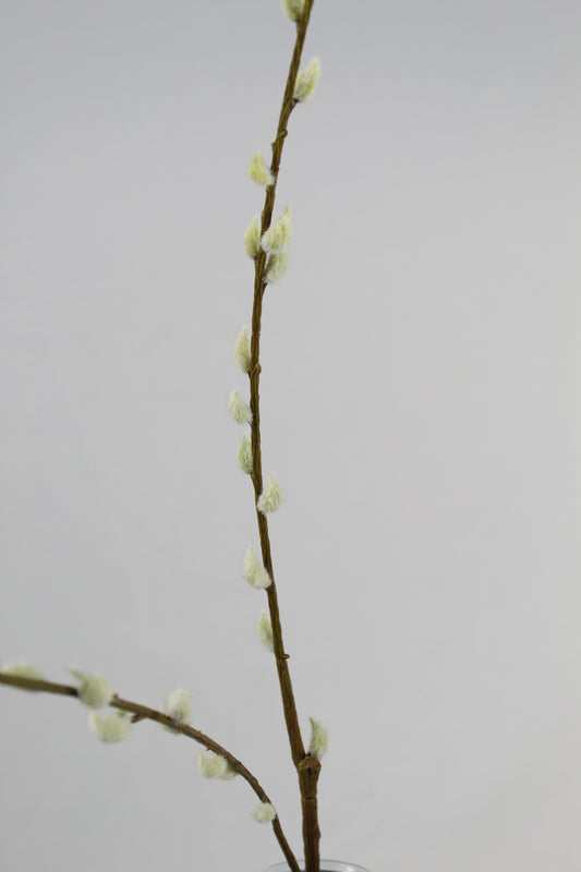 Faux Pussy Willow